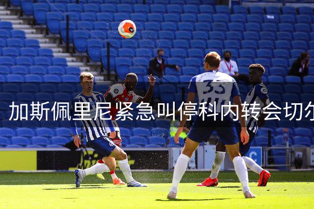 加斯佩里尼紧急叫停科内转会切尔西
